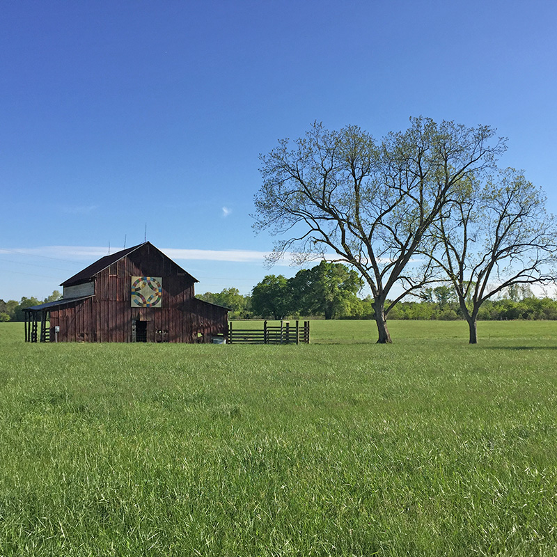 Three Rivers Society | Three Rivers LandTrust