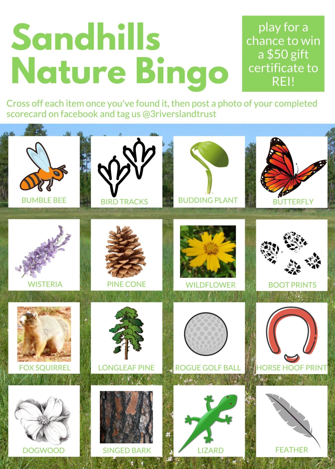 nature bingo card