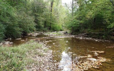 Three Rivers Land Trust starts off 2022 by conserving 67 acres in Montgomery County