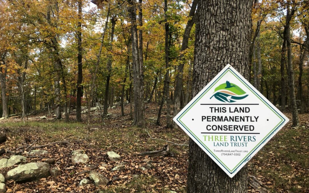 Three Rivers Land Trust Transfers 215 Acres to Morrow Mountain State Park